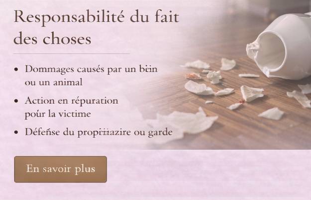 responsabilité du fait des choses